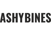 ashybins 2